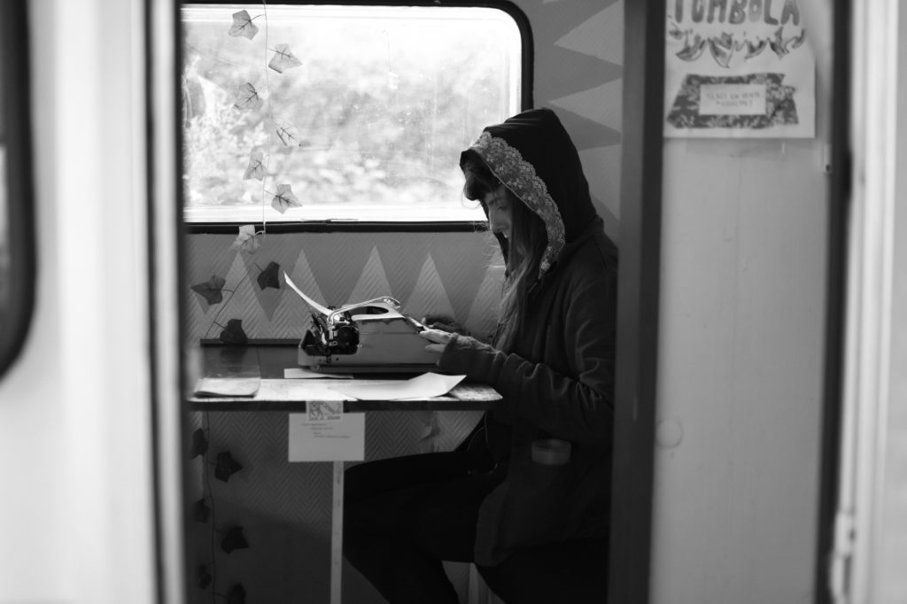 Photographie au Livrosaurus Rex, le festival du livre et des cultures libres